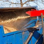 Trusted Tree Service Madison for Fast & Safe Solutions