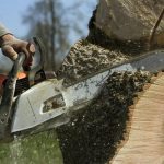 Affordable Tree Service South Lake Tahoe for Residential Properties