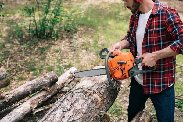 Experienced Shelton WA Tree Removal Contractors You Can Rely On