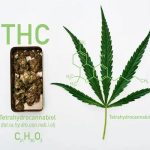 Understanding Testing and Transparency in Hemp-Derived Delta-8 Products