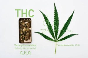 Understanding Testing and Transparency in Hemp-Derived Delta-8 Products