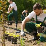 Finding Reliable Landscaping Services for Your Outdoor Projects