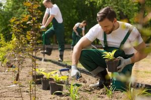 Finding Reliable Landscaping Services for Your Outdoor Projects