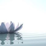 Finding Ethical Access and Real Projects in Neuroscience Internships