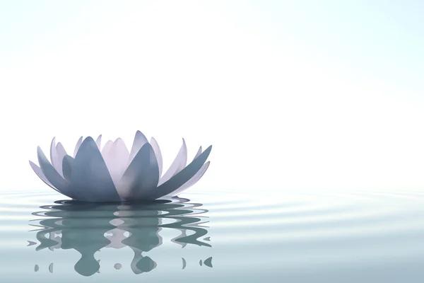 Finding Ethical Access and Real Projects in Neuroscience Internships